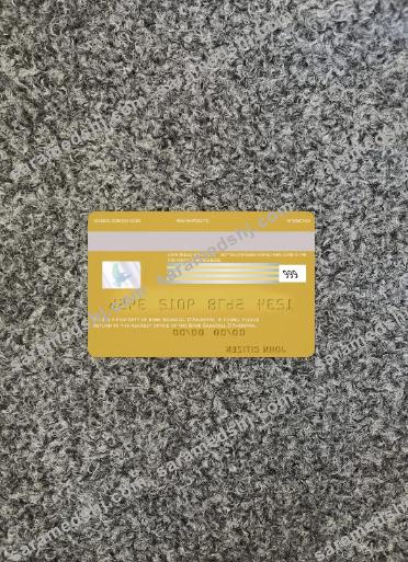 Andorra Bank Sabadell bank visa card photolook back